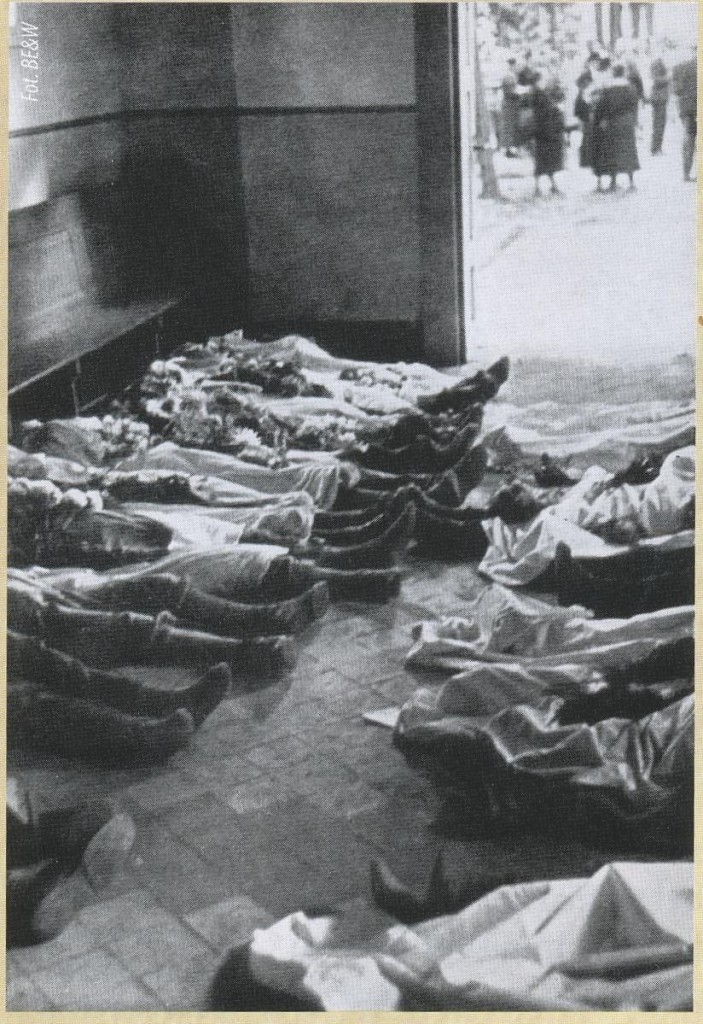 Polonia christiana.VIII jpg