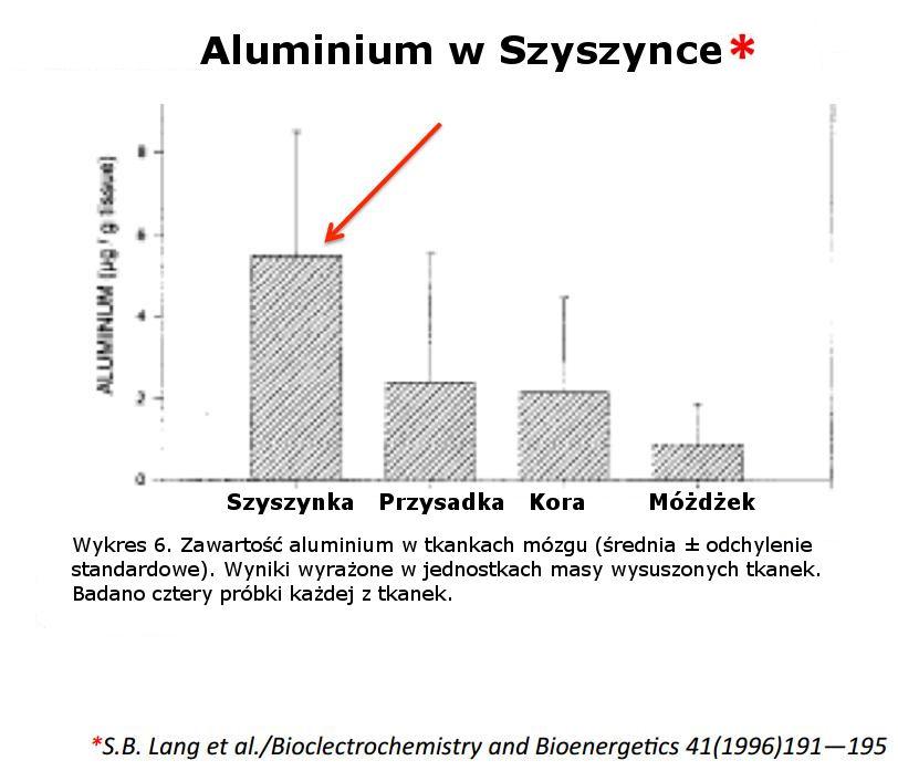 Autyzm - aluminium w szyszynce