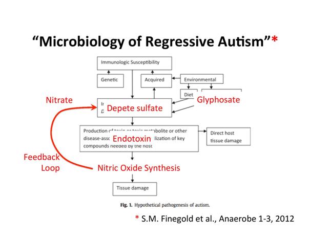 Autyzm - mikrobiologia