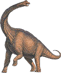 B5 - dinozaur