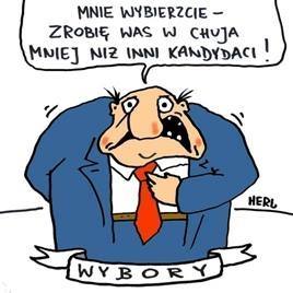 wybory 10